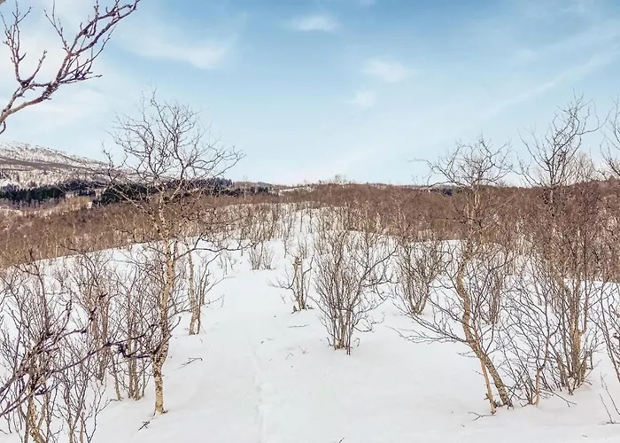 Cozy In I Ofoten With Sauna Ferienhaus Bogen (Nordland)